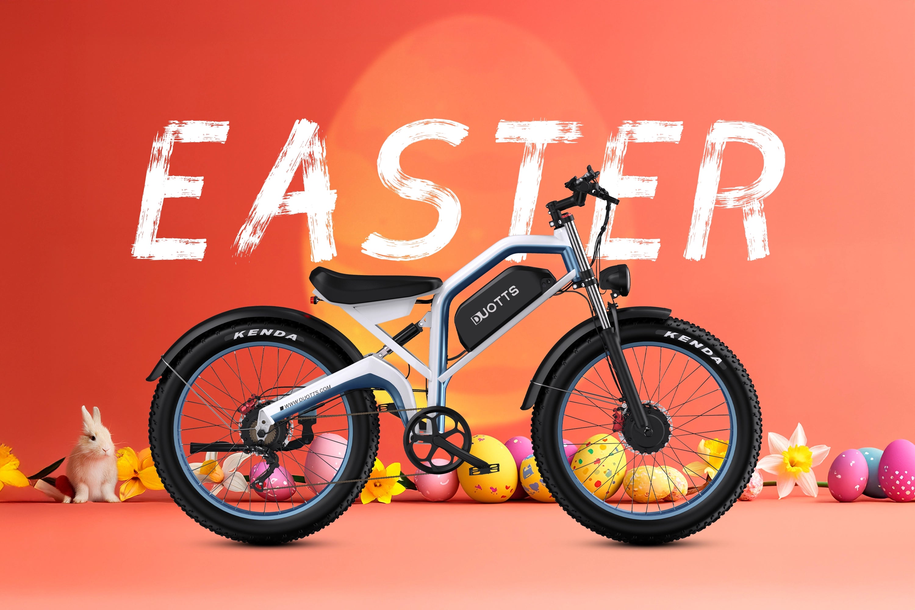 DUOTTS N26 Electric Bike