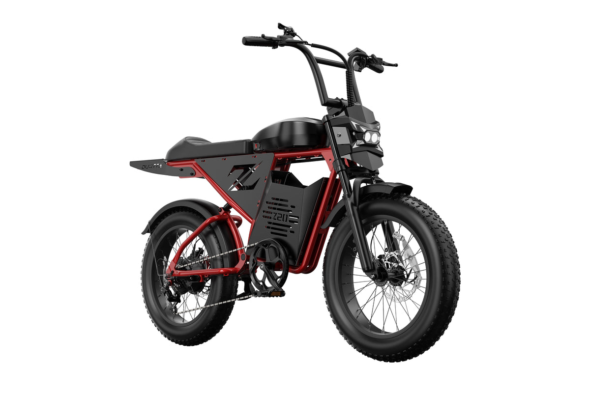 DUOTTS Z20 Electric Bike