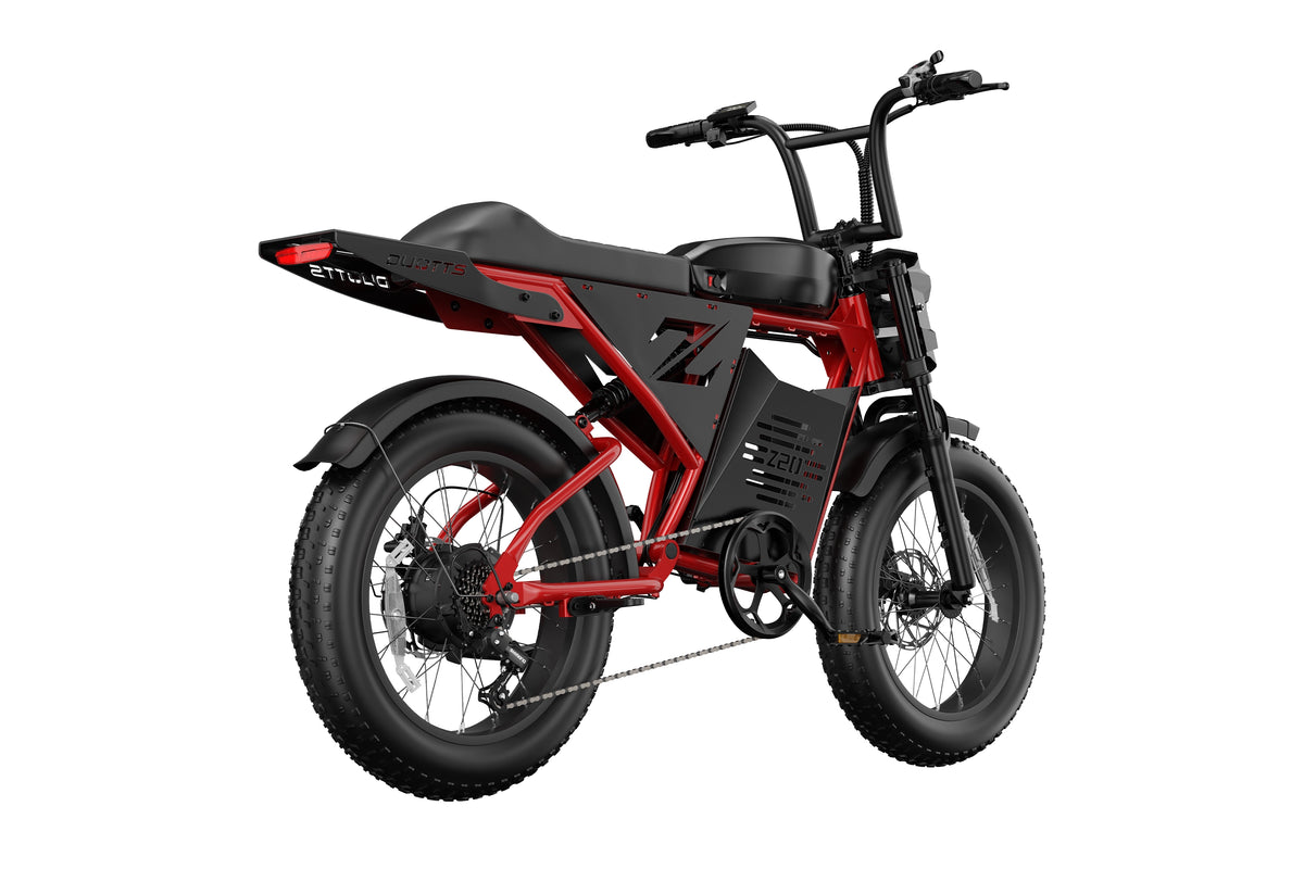 DUOTTS Z20 Electric Bike