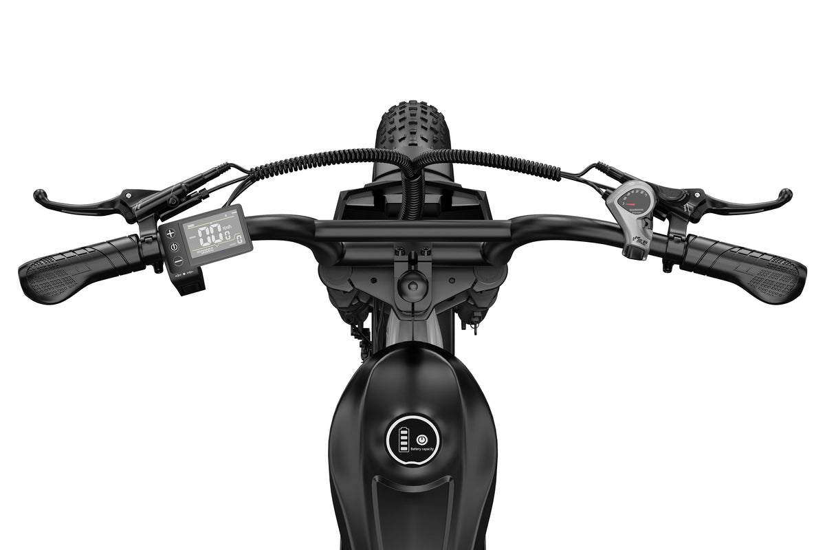 DUOTTS Z20 Electric Bike
