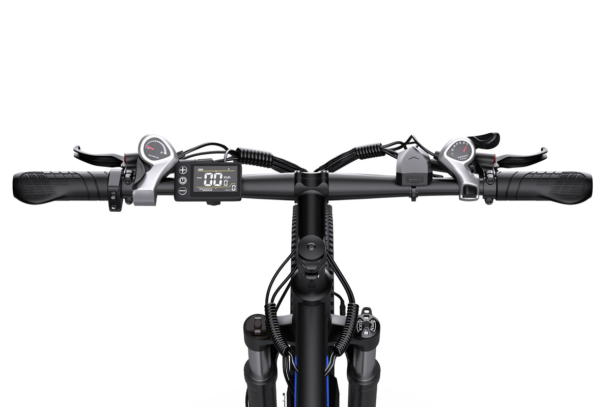 DUOTTS C29 Electric Bike