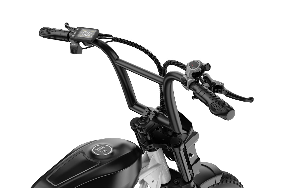 DUOTTS Z20 Electric Bike