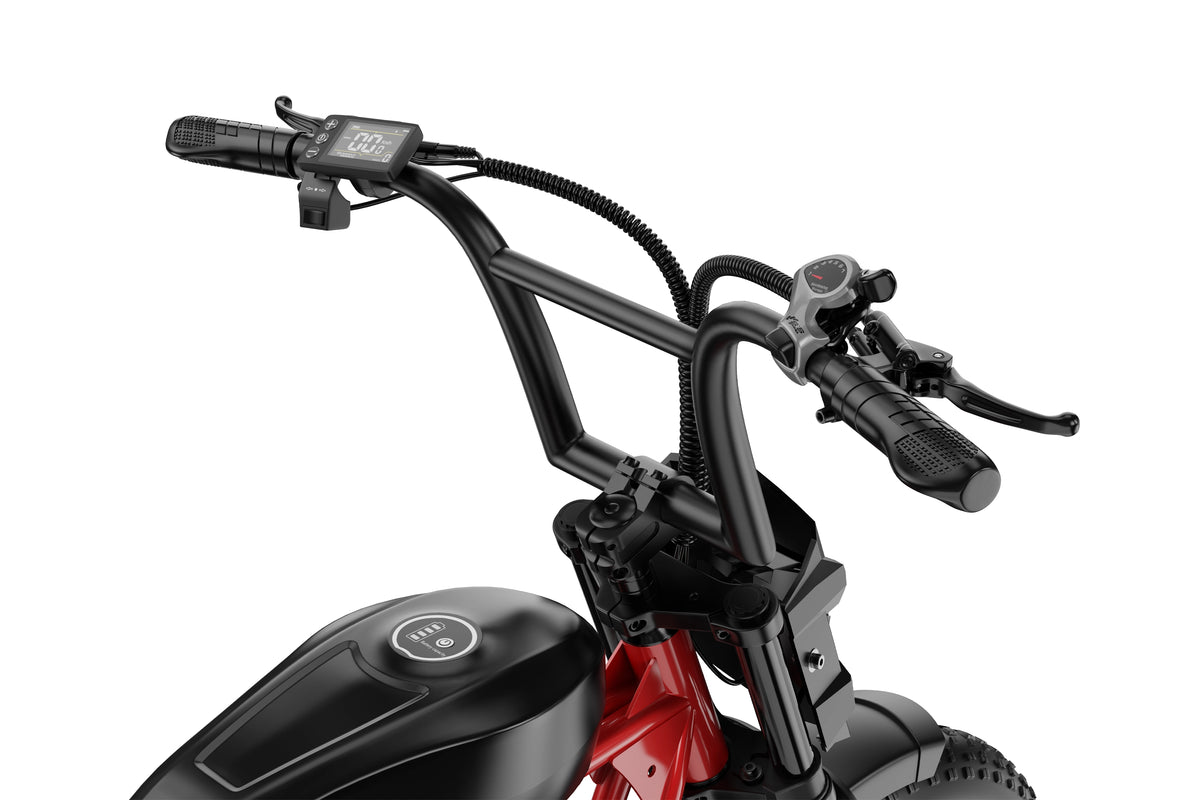 DUOTTS Z20 Electric Bike