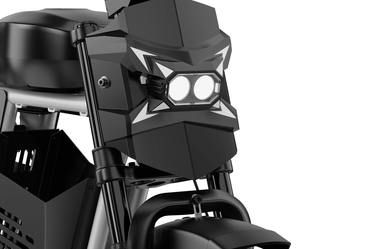 DUOTTS Z20 Electric Bike