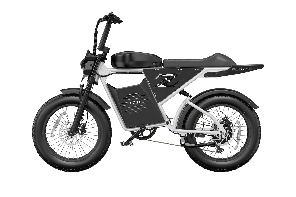 DUOTTS Z20 Electric Bike