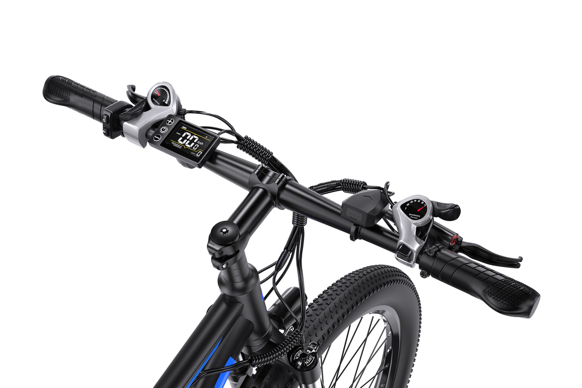 DUOTTS C29 Electric Bike