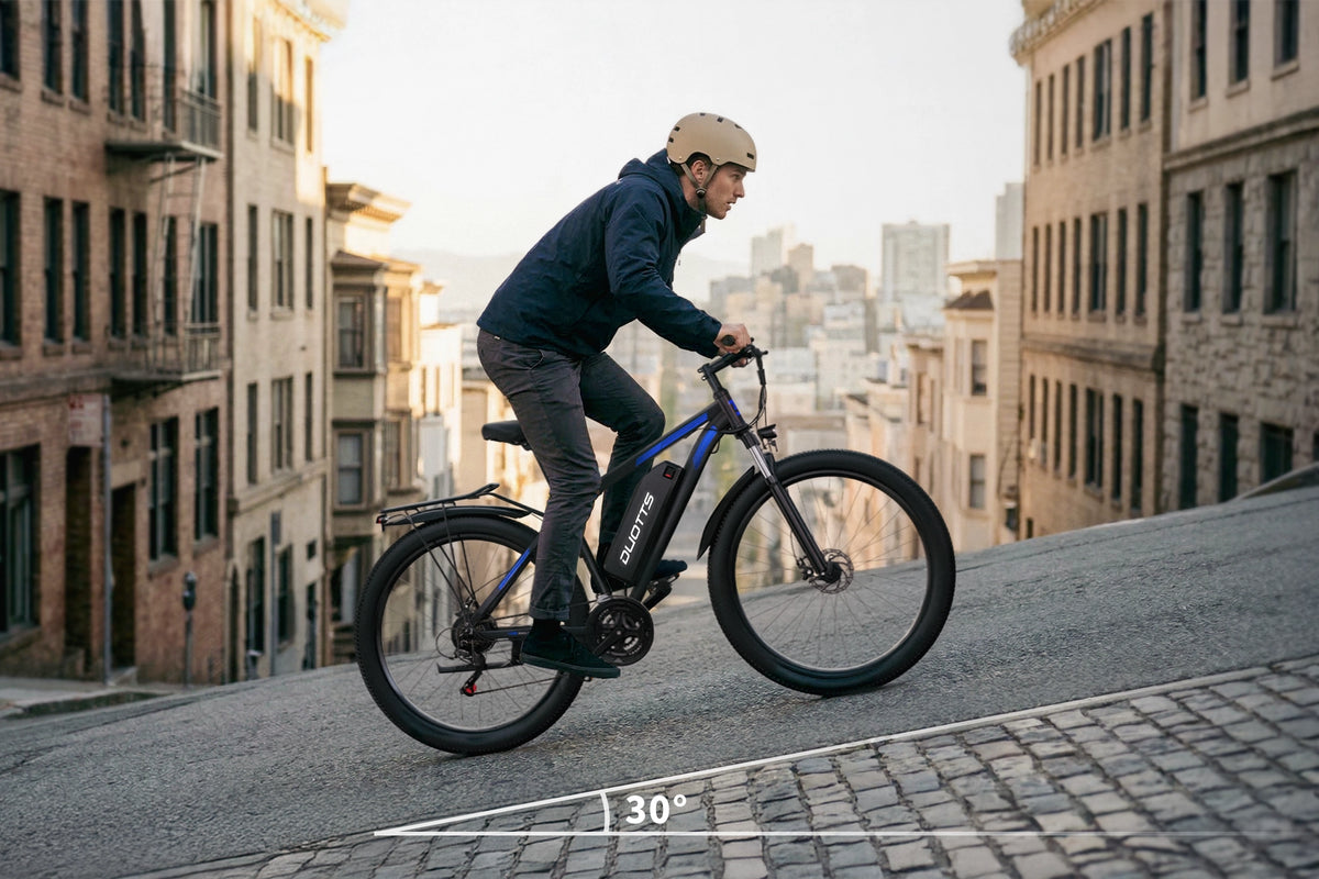 DUOTTS C29 Electric Bike