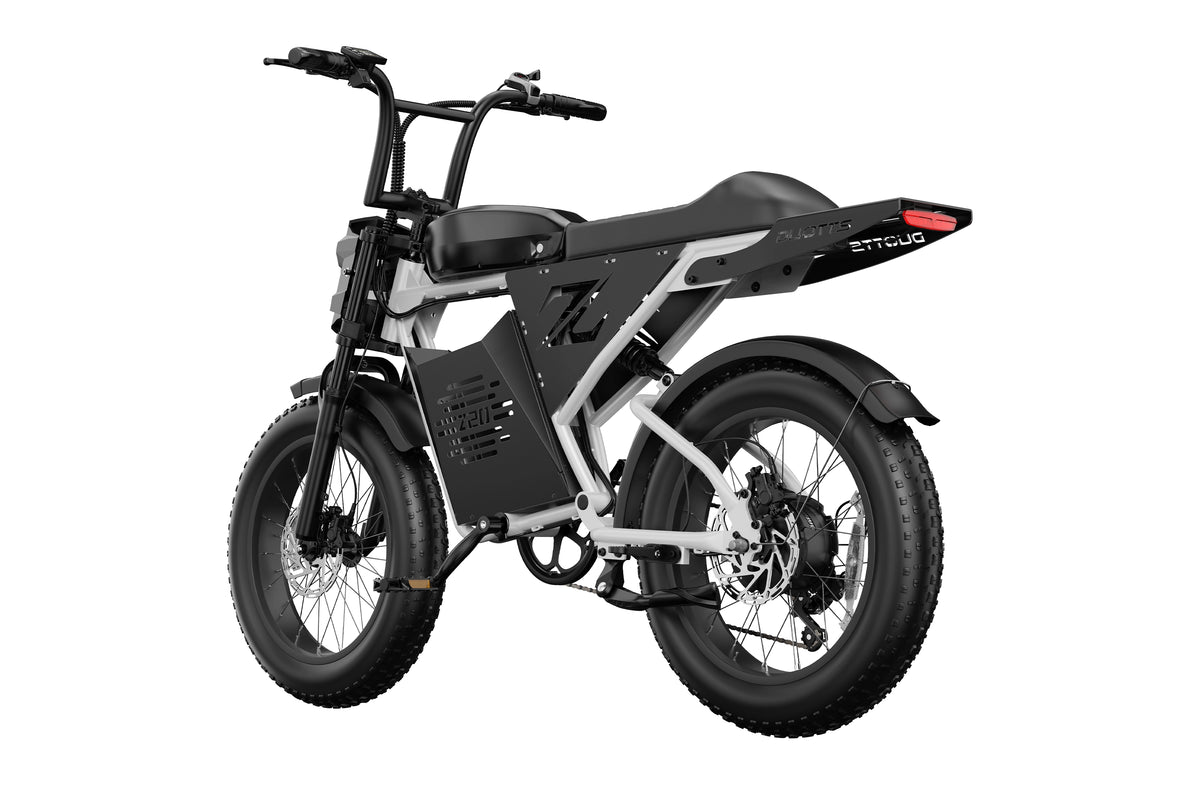 DUOTTS Z20 Electric Bike