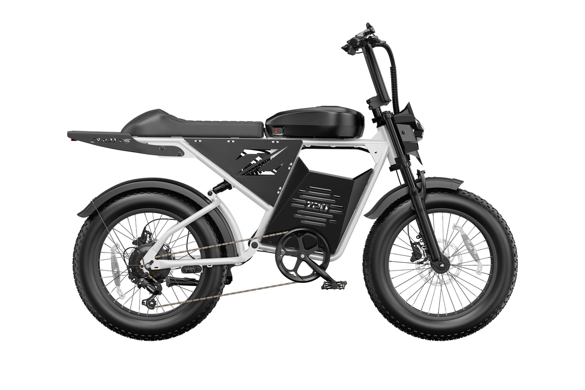 DUOTTS Z20 Electric Bike