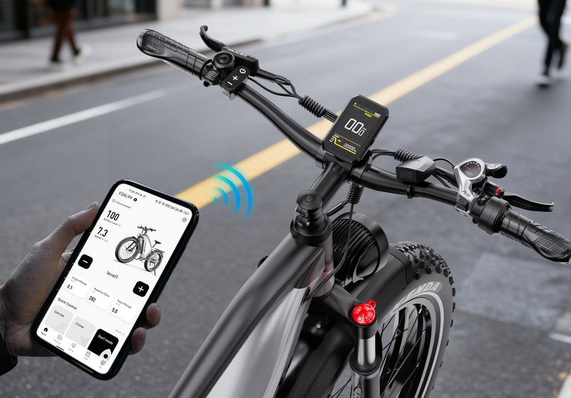 F26Lite display and app connectivity
