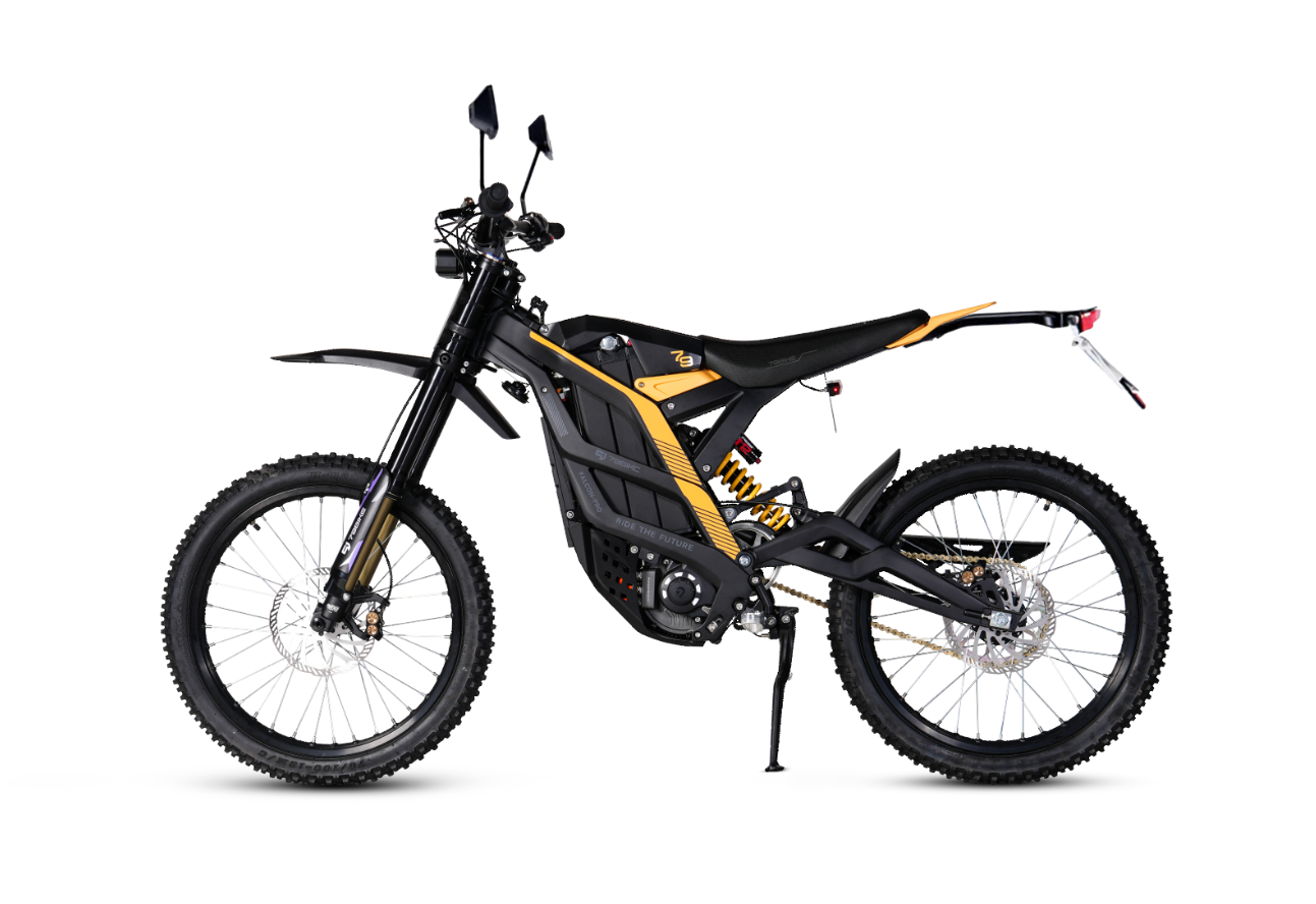 79BIKE Falcon Pro Electric Dirt Bike